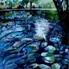 Light on the Waterlily Pond