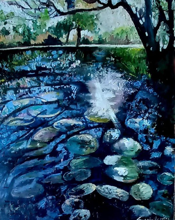 Light on the Waterlily Pond