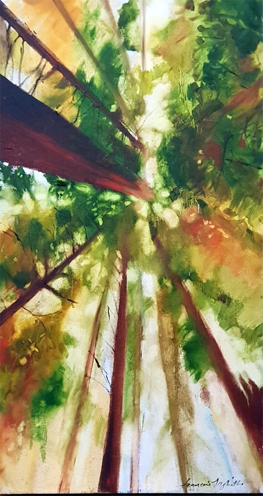 View Into The Treetops